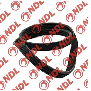 Belt (Water Pump) - Hyundai Accent 1999-2006