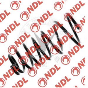 Coil Spring Rear - Hyundai Accent 1996-2006