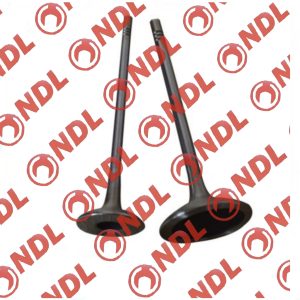 Inlet Valve - Hyundai Accent 1999-2006