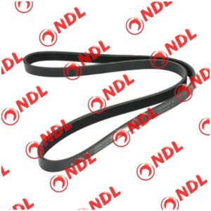Belt (Ripped Belt) - Toyota Corolla 2012-2023
