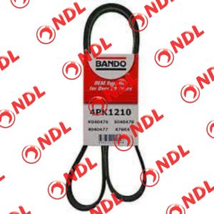 Belt (Ripped Belt) - Toyota Corolla 2012-2023
