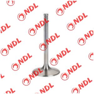 Valve Inhaust - Nissan Sunny 1998-2011 N16
