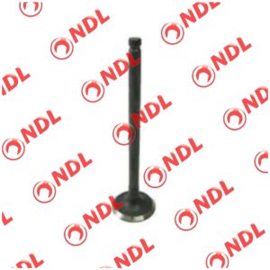 Valve Exhaust - Nissan Sunny 1998-2011 N16
