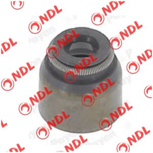 Valve Seal - Nissan Sunny 1998-2011 N16