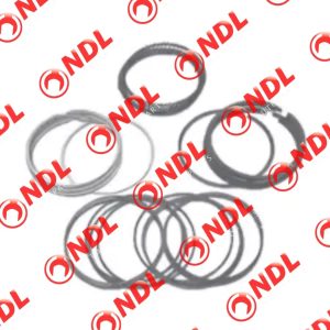 Piston Ring - Toyota Wish 2003-2009