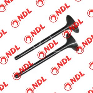 Valve Inhaust - Toyota Wish 2003-2009