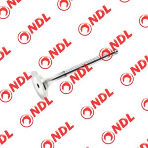 Valve Exhaust - Toyota Wish 2003-2009